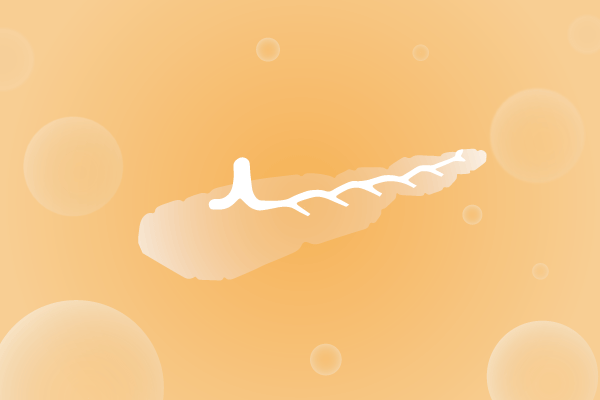 内分泌系统，腺体，胰腺遗传病、基因病、罕见病基因解码，基因检测，基因筛查与分子诊断