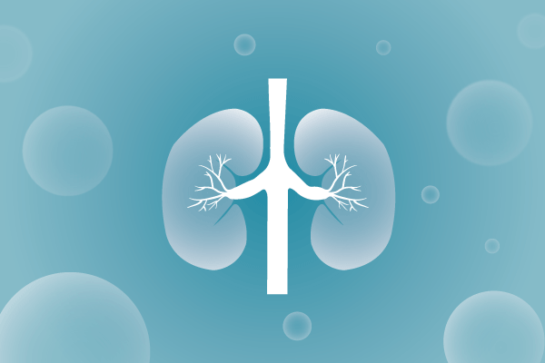 泌尿系统，肾脏，膀胱，尿病，肾不好遗传病、基因病、罕见病的基因解码，基因检测，基因筛查与分子诊断