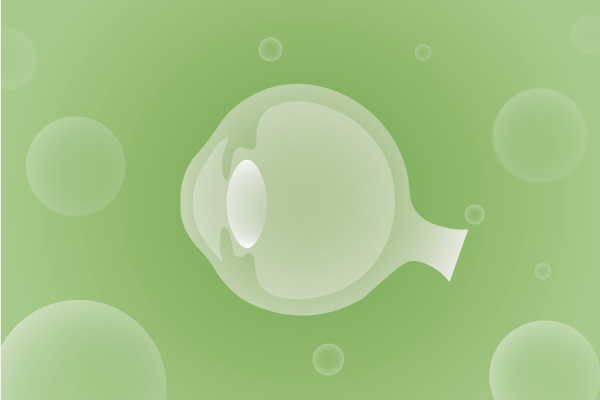 眼科，视光中心，眼科诊所，眼睛相关遗传病、基因病、罕见病的基因解码，基因检测，基因筛查与分子诊断