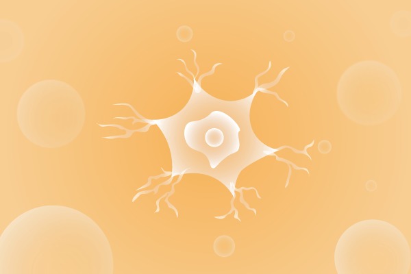 神经科肌肉系统及运动神经系统遗传病、基因病、罕见病的基因解码，基因检测，基因筛查与分子诊断