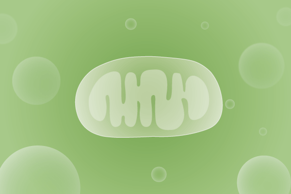 线粒体病、线粒体疾病遗传病、基因病、罕见病基因解码，基因检测，基因筛查与分子诊断