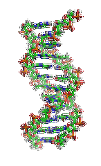 【腾博会官网基因检测】需要多长时间可以拿酒精使用障碍基因解码、<a href=http://www.douzuanla.com/tk/jiema/cexujishu/2021/31933.html>基因检测</a>报告？